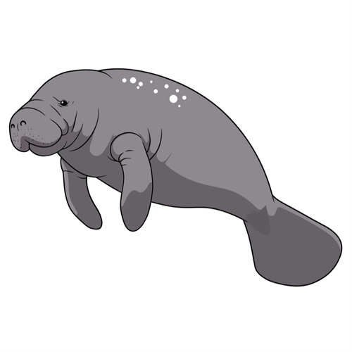 Under the Sea Theme Manatee Transparent Sticker